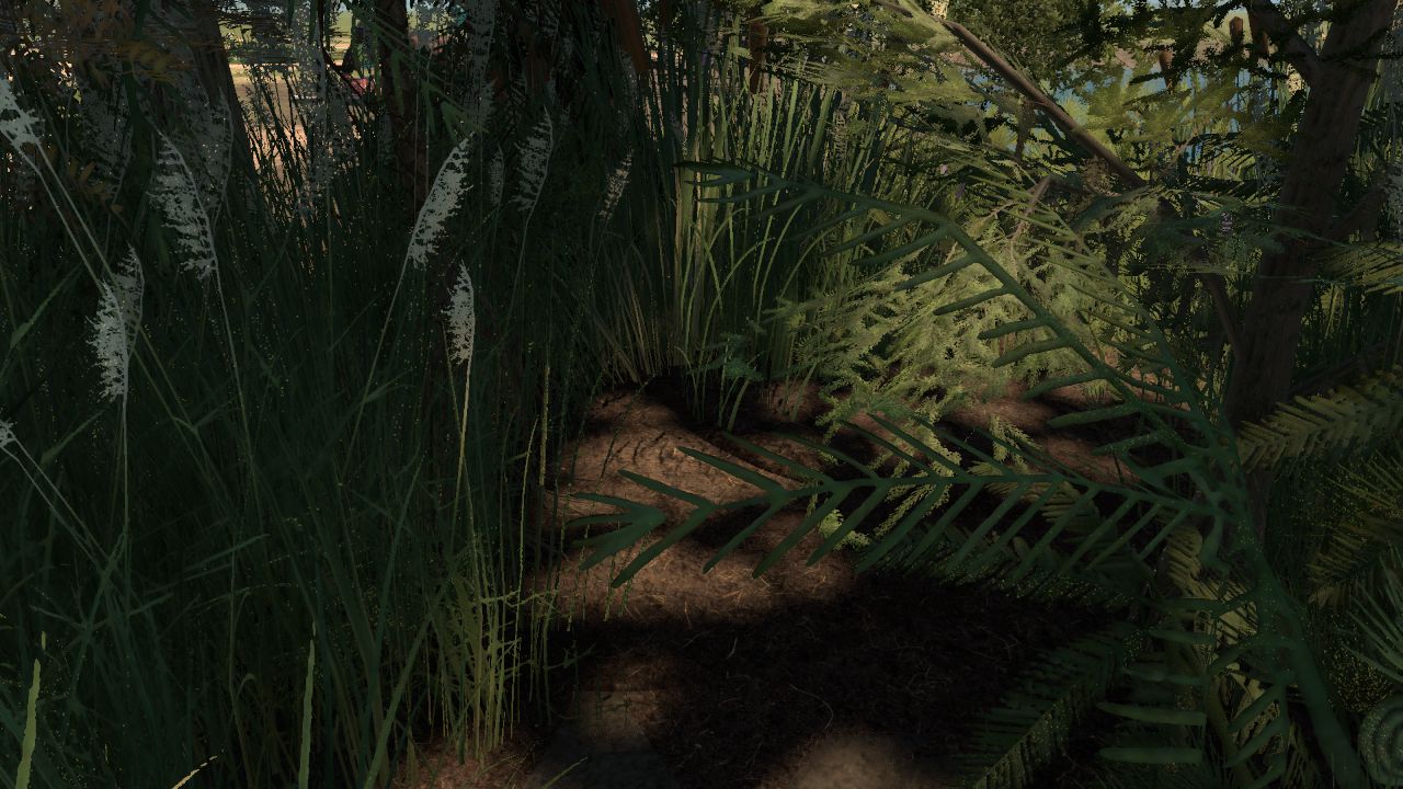 wetlands dense forest
