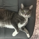Alberto