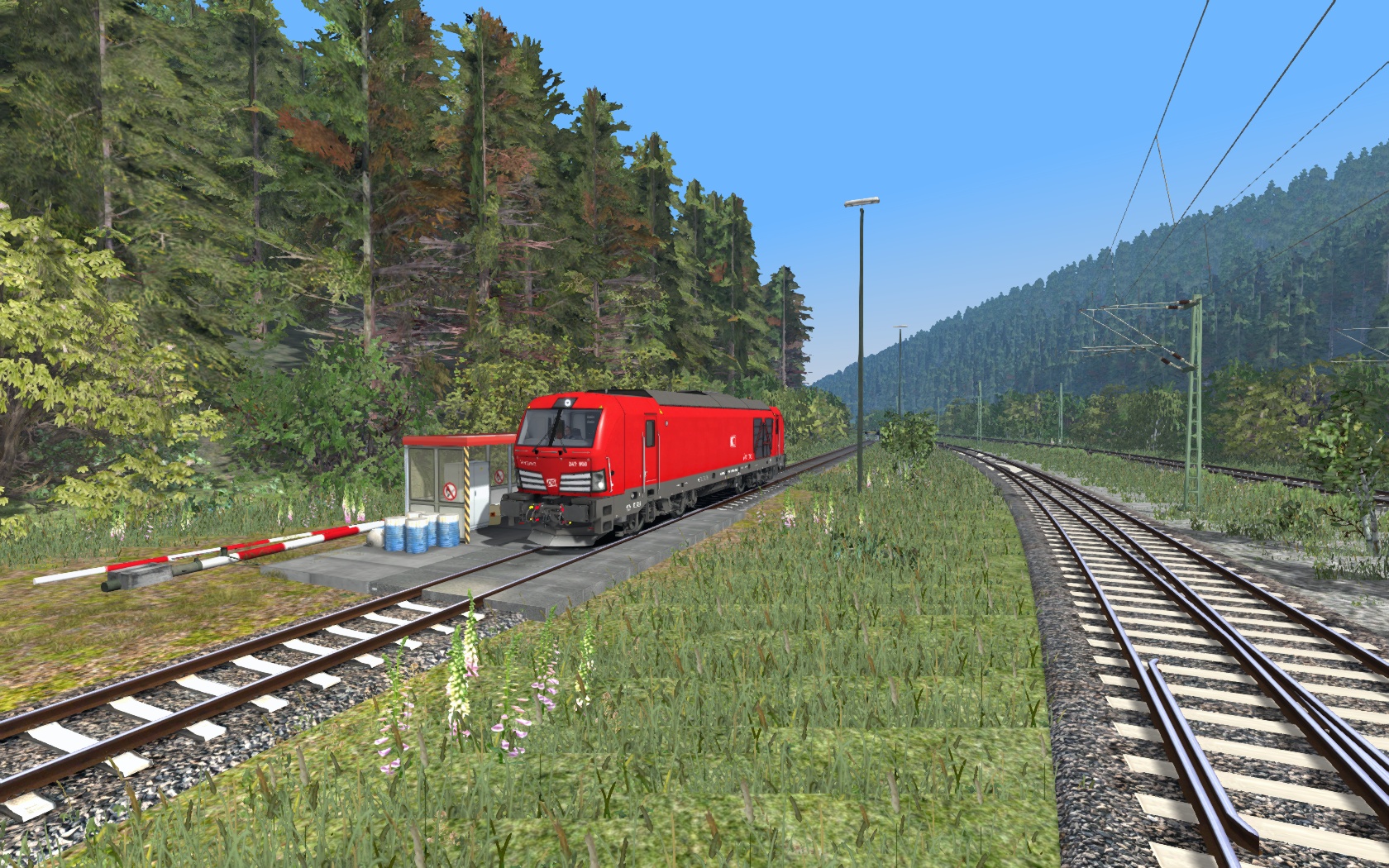 [Blackforestdriver] Lokzug durchs Tal