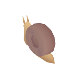 Garden Snail