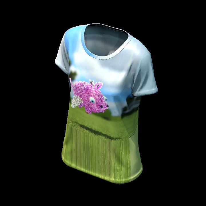 Shirt customised 37