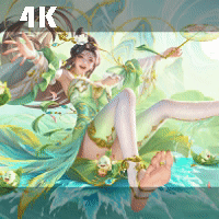 三国杀【渌野芳粽 徐馨 待机】4K preview
