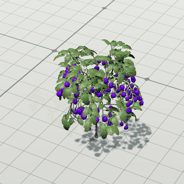 PurpleFruit