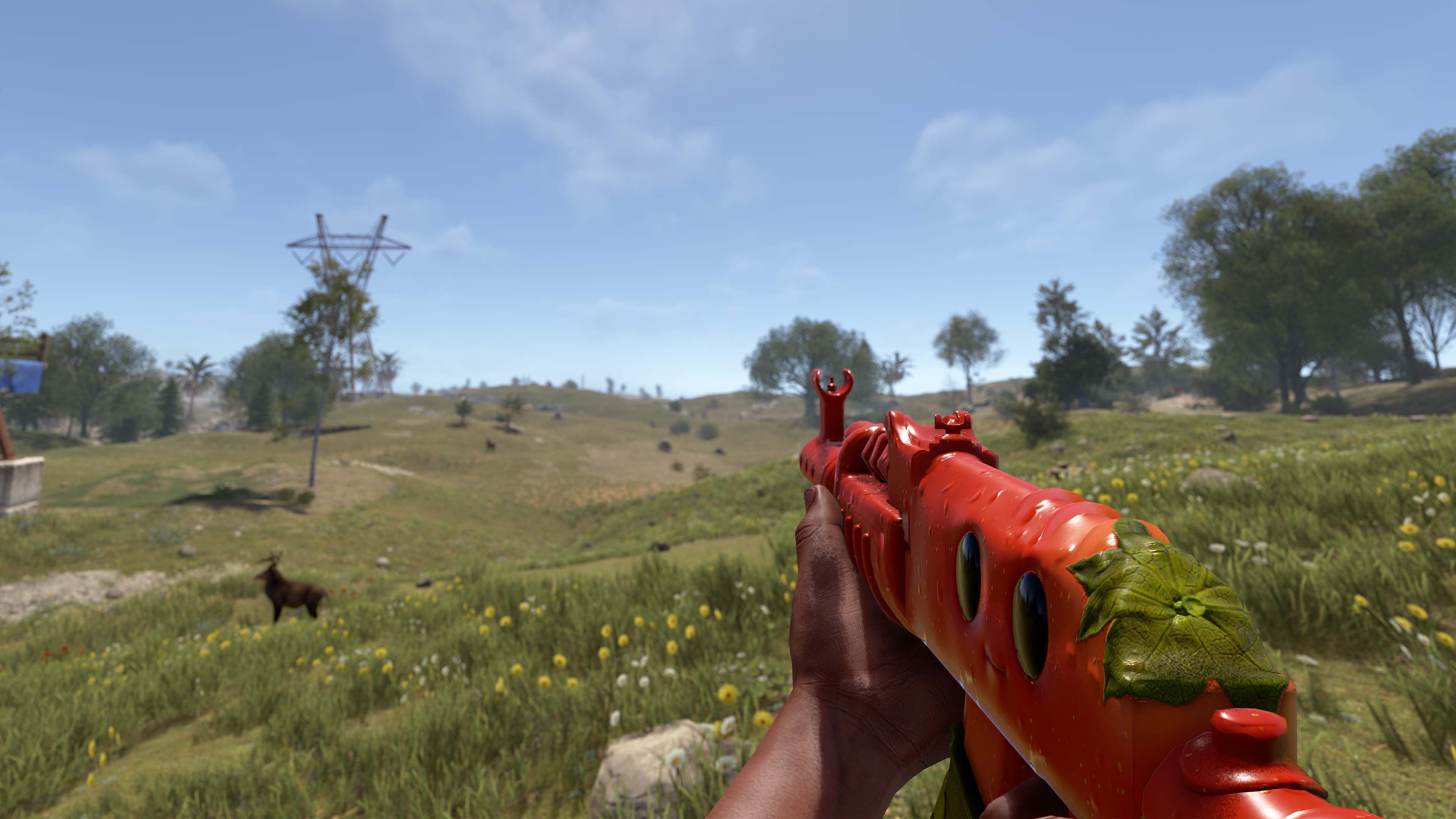 Señor Tomato AR thumbnail 3