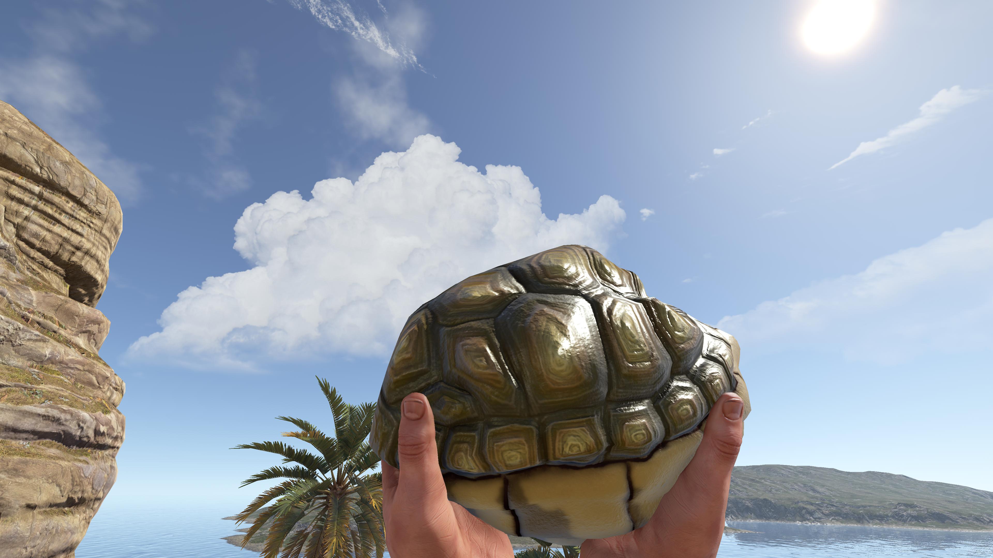 Tortoise Rock thumbnail 9