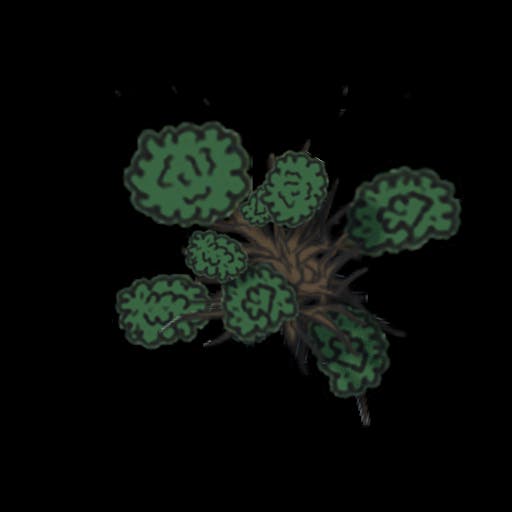 Semidead tree colored 1
