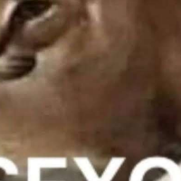 macaco
