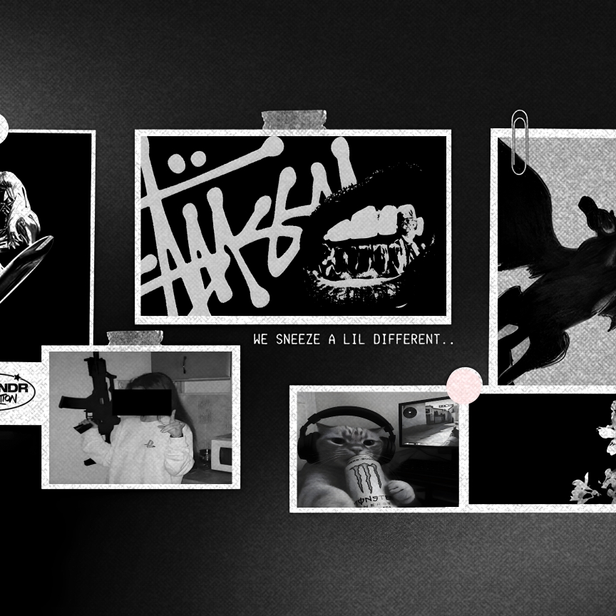 stussy -alexandr preview