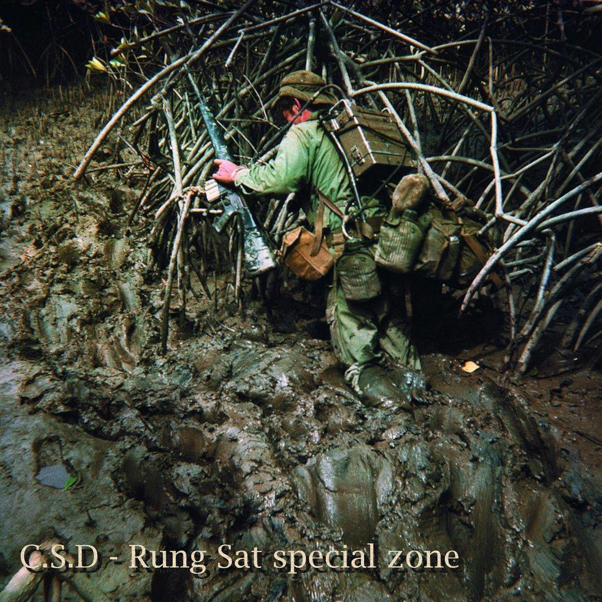 C.S.D - Rung Sat special zone