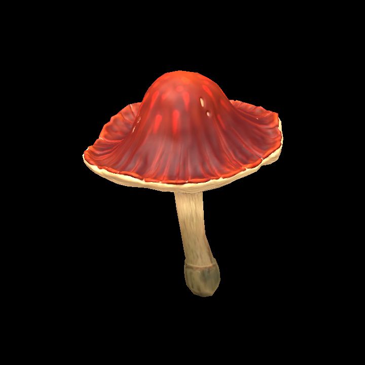 Mushroom_01