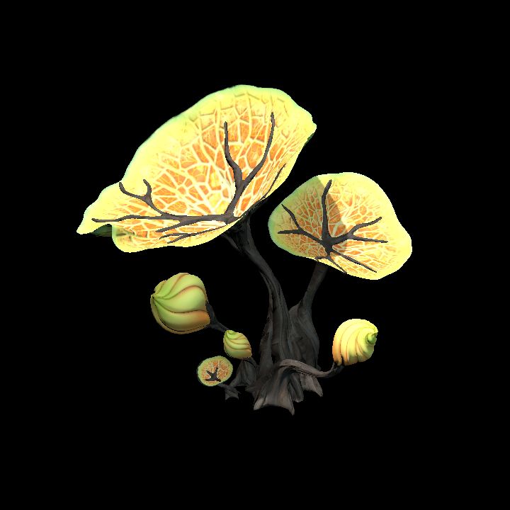Fey_Plant (5)