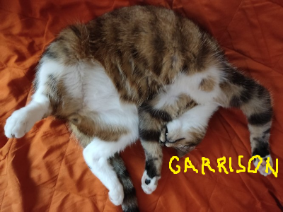 Garrisoned Armies Buffs and Debuffs