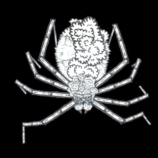 Spider Concept 2 preview