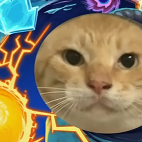 鸡煲 圆头耄耋皮肤（CatDefectSkin）