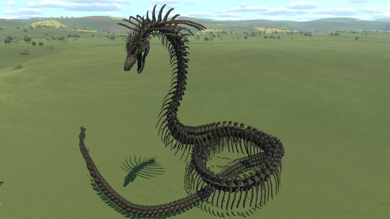Great Wyrm Skeleton