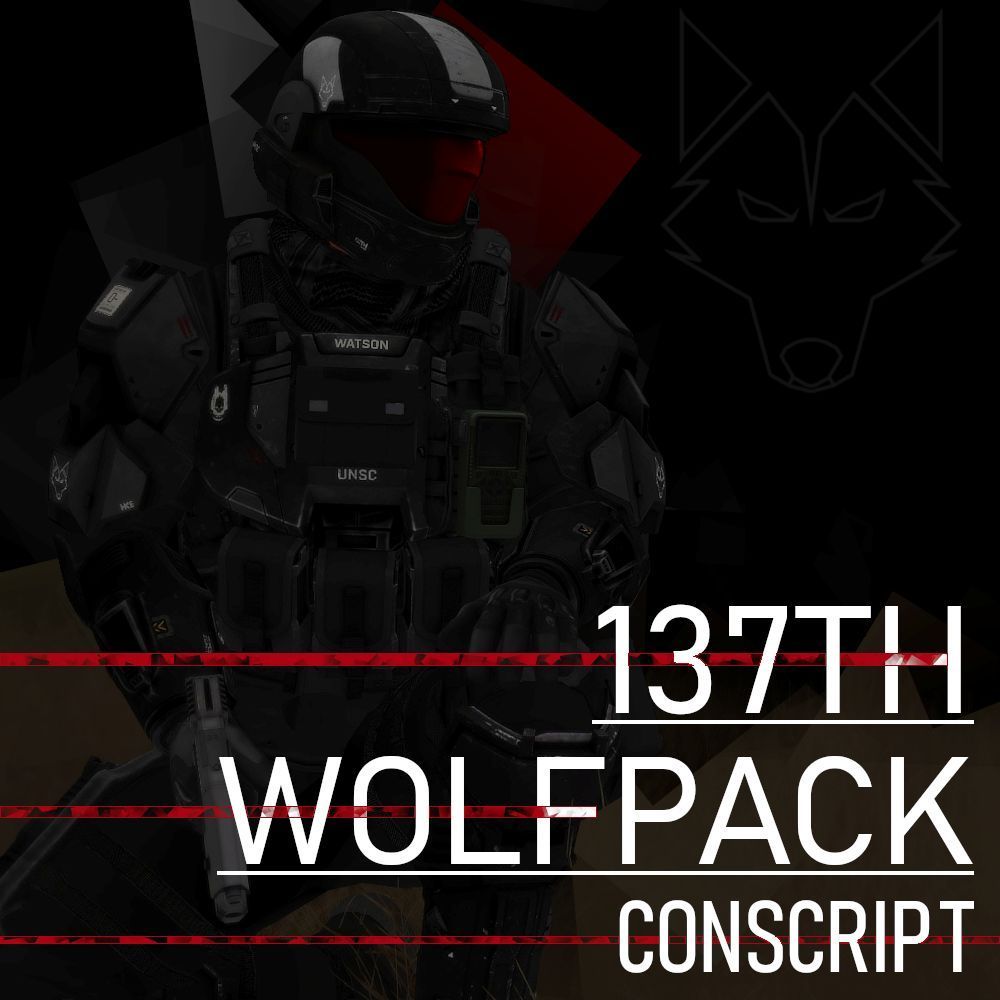 137th Wolfpack Conscript
