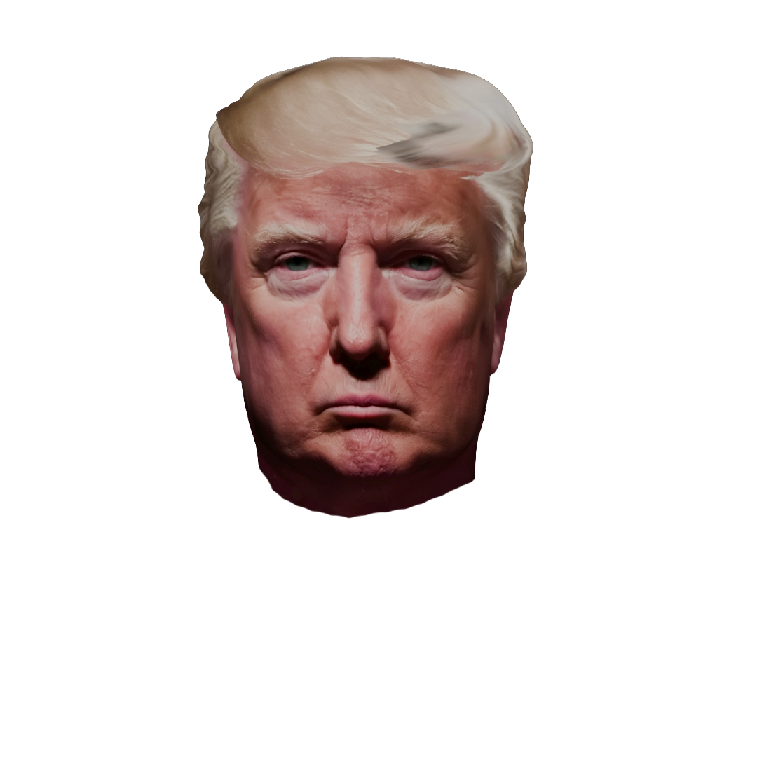 Donal J Trump