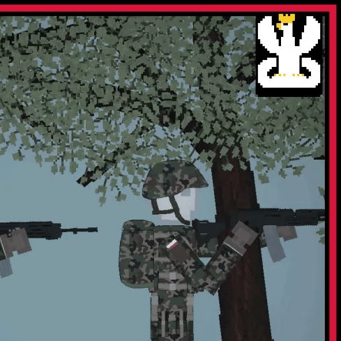 (REUPLOAD) Polish Armed Forces