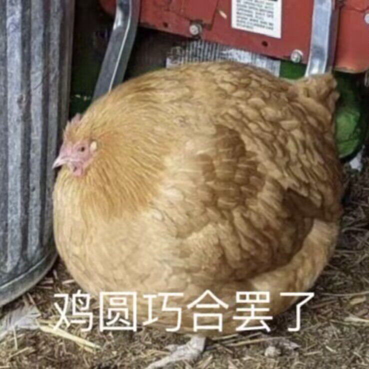全随机尖塔 FortuneIsAllYouNeed