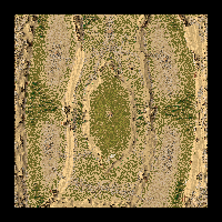 Grassy Hill