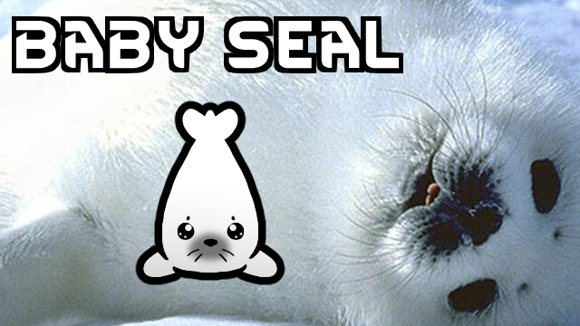 Baby Seal