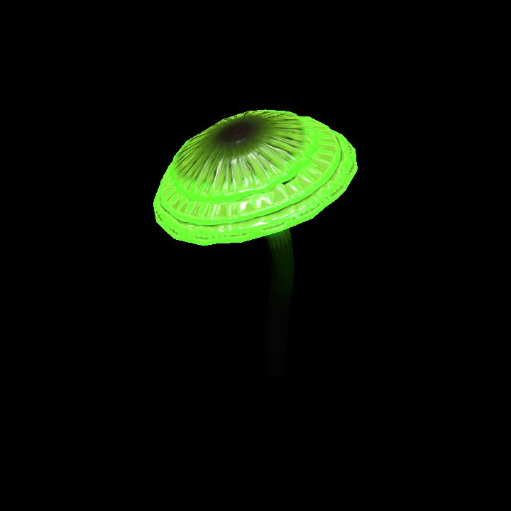 Mushroom_Small_10_2