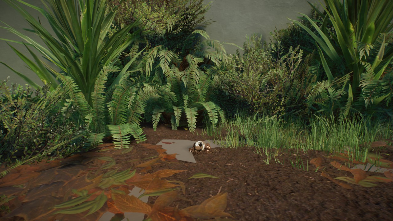 Rick's Brown Banana Frog preview