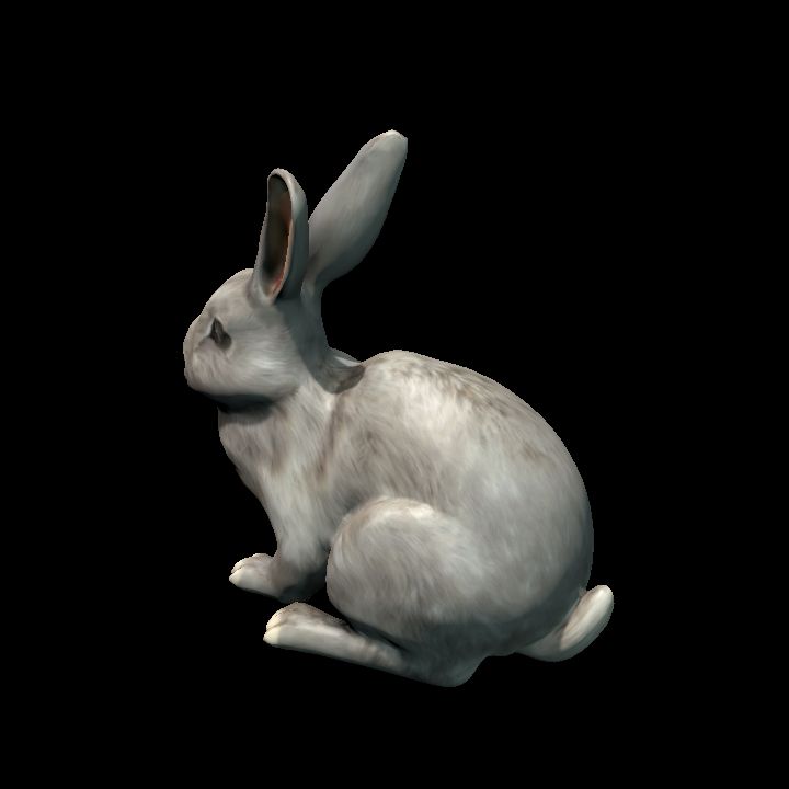 Gray Rabbit