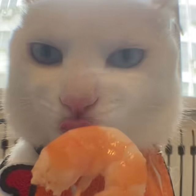 bulabuladidong