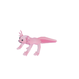Axolotl (Higher)