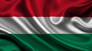 Hungarian Translator