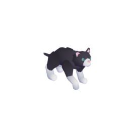 Prowling Cat