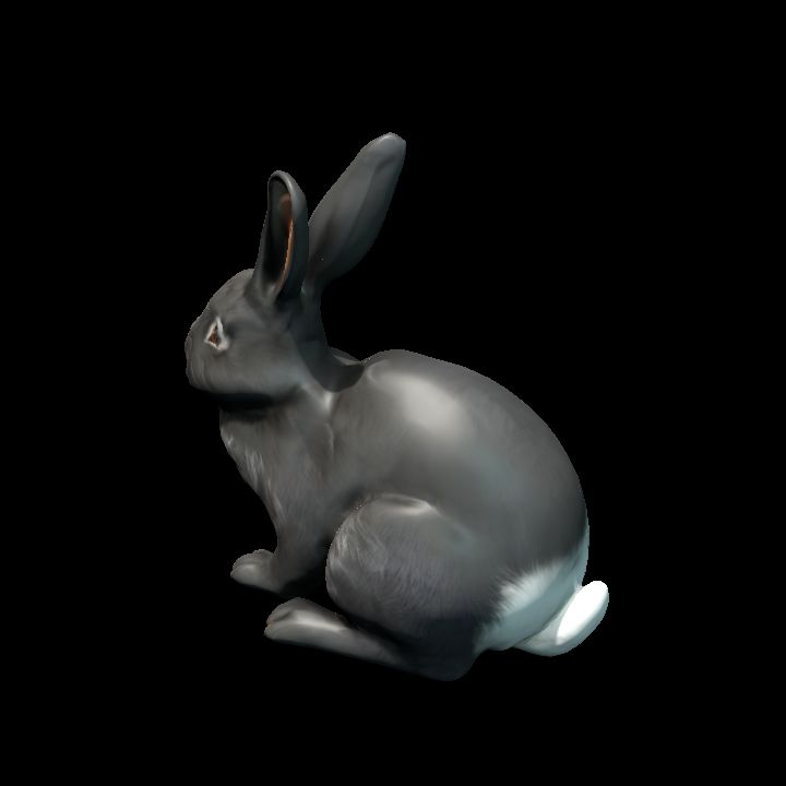 B and W Rabbit