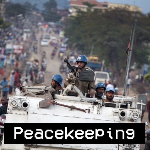 Peacekeeping [MONUSCO mission]