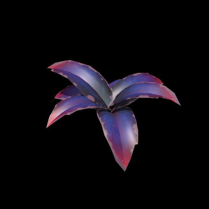 Fey_Plant (12)