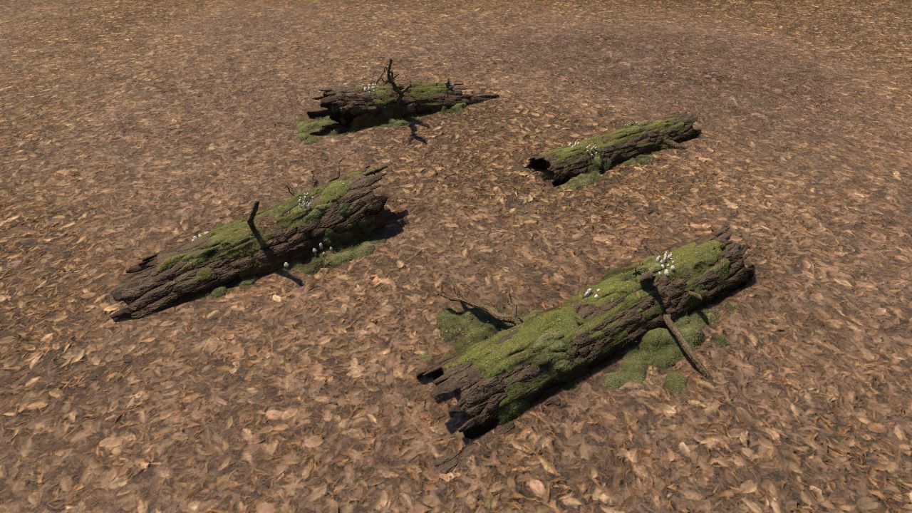 Rotting Logs