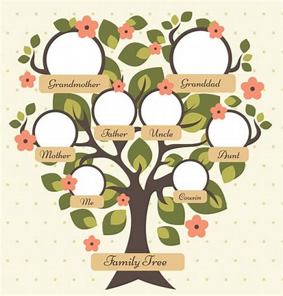 Full Circle Lifespans preview