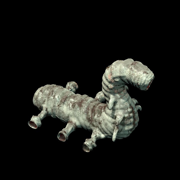 Worm, Outer