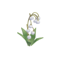 Lily of the Valley