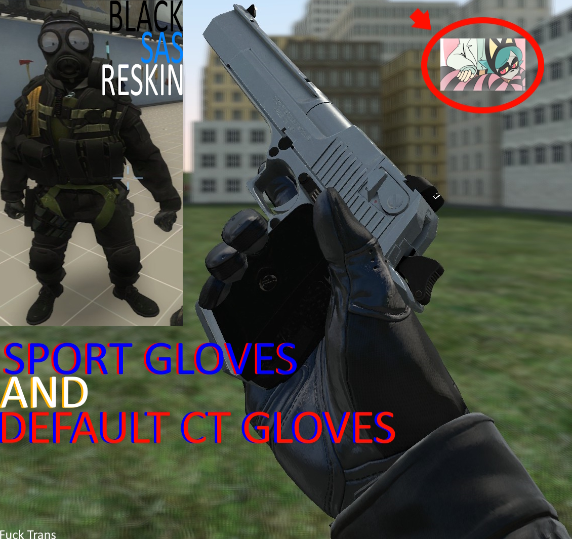 Black CS:GO/CS2 SAS Reskin (Includes Default ct and sport gloves)
 preview