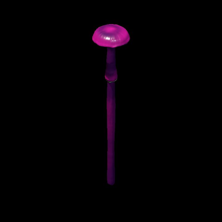 Mushroom_Small_4_1