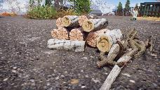 Firewood