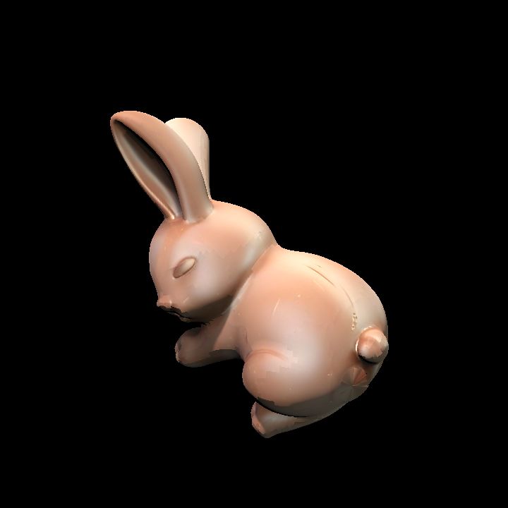 Hollow Chocolate Bunny sleepy