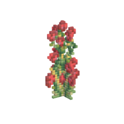 Plant pack-roses