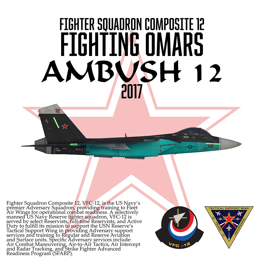 VFC-12 Fighting Omars 12 2017