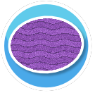 Rug Purple Waves Circle
