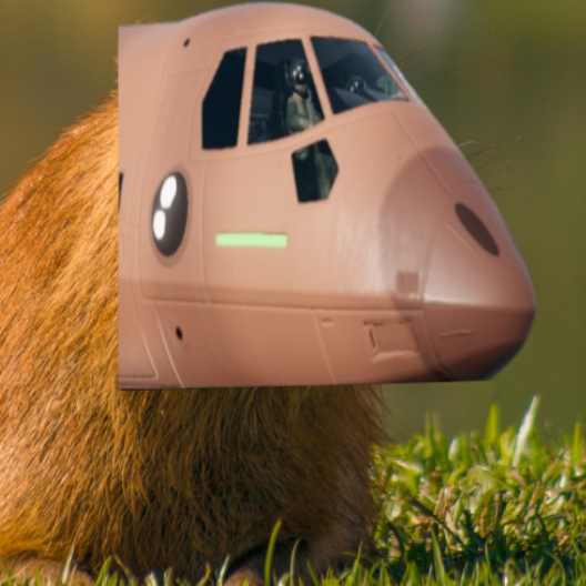 MC-260 Capybara