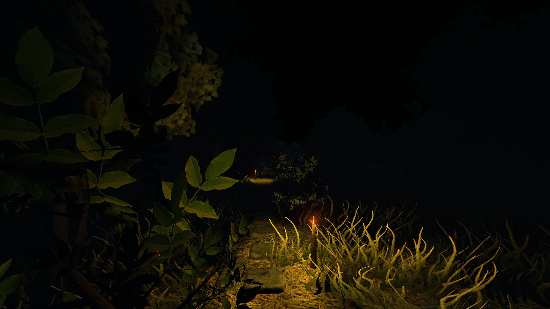 Creepy Forest