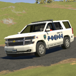 WPD - 2020 Chevrolet Tahoe | Marked Hardtop | Wright Police Department