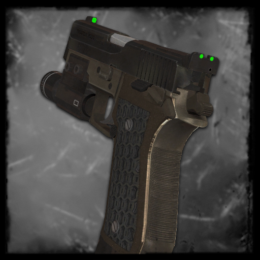 Enhanced Pistols / Skin 9
